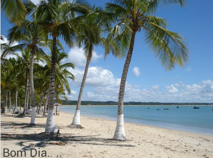 Praia Dos Corais Apt 24 Coroa Vermelha ภายนอก รูปภาพ